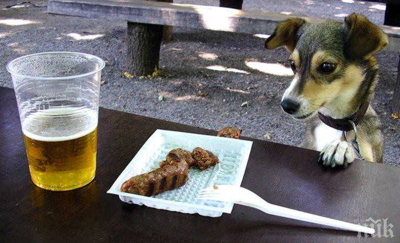 Хлапета разбиха павилион, свиха бира и кебапчета