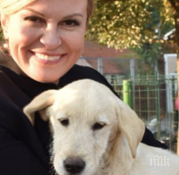 Президентът на Хърватия осинови куче от приют