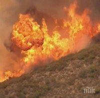 Пожар след разклона за Банкя! Горят стърнища, няма опасност за сгради и хора
