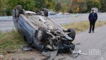 Сватбар каскадьор отсече две дървета и се метна по таван