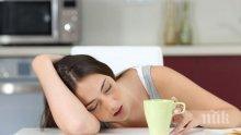 С какво да заменим кафето: 5 полезни напитки