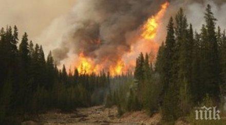 община плевен кандидатства финансова помощ проект превенция горските пожари