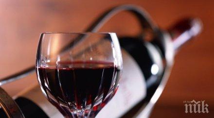 стара загора домакин фестивала августиада