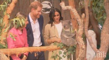 първи дарове нероден петко меган хари