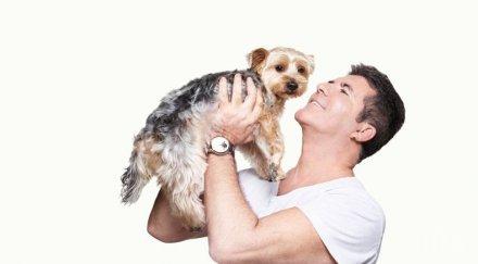 любов създателят фактор обзаведе кучета частния самолет