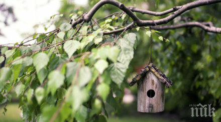 столичната община кани децата поставят къщички птици борисовата градина