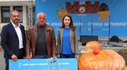 рекорд земедец отгледа 260 килограмова тиква севлиево снимка