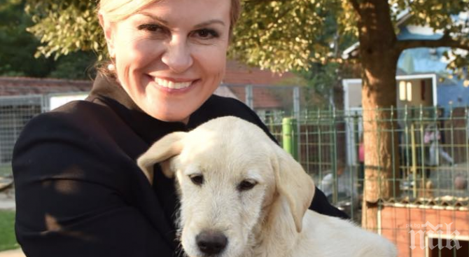 Президентът на Хърватия осинови куче от приют