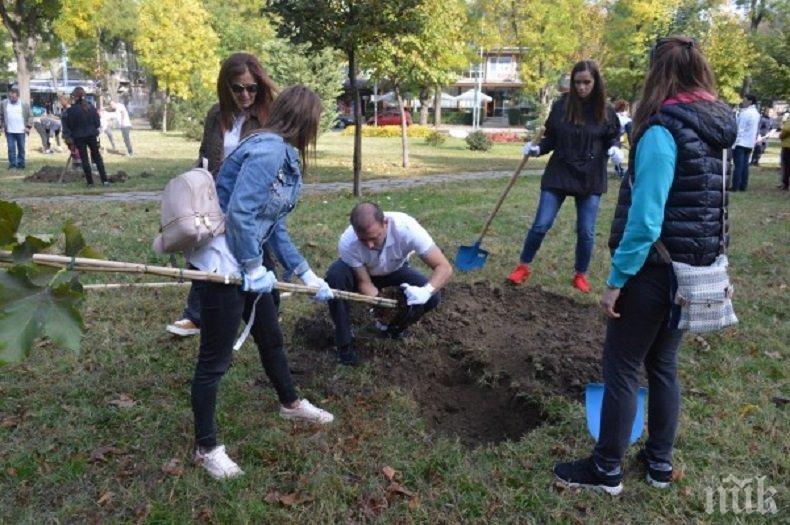 Голяма залесителна кампания в пловдивския район Южен.