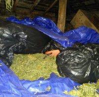 НАХОДКА! Над 20 кила марихуана в чували се търкалят на полето
