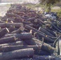 Полицията спипа незаконни дърва за огрев