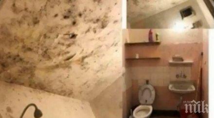 потресаващо настаняват студенти нечовешки условия мизерия мухъл хлебарки общежитията