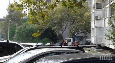 паяк вършее варна хората бесни акцията