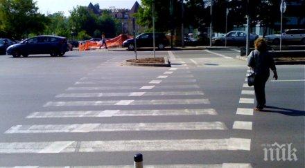 солена глоба пешеходците говорещи телефона зебра