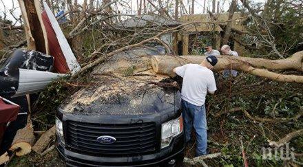 броят жертвите урагана майкъл сащ продължава расте достигна