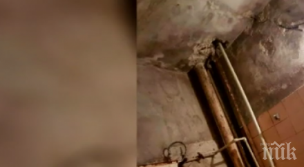 вижте каква мизерия живеят студентите общежитията снимки