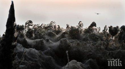 гигантска паяжина покри бреговете езеро северна гърция