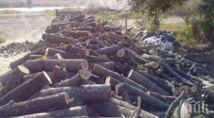 полицията спипа незаконни дърва огрев