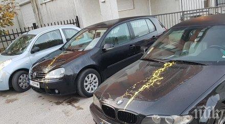 пик брутална акция студентски град заляха коли жълта боя снимки