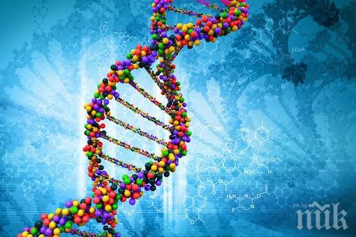 Вече могат да ви разкрият по чуждо ДНК