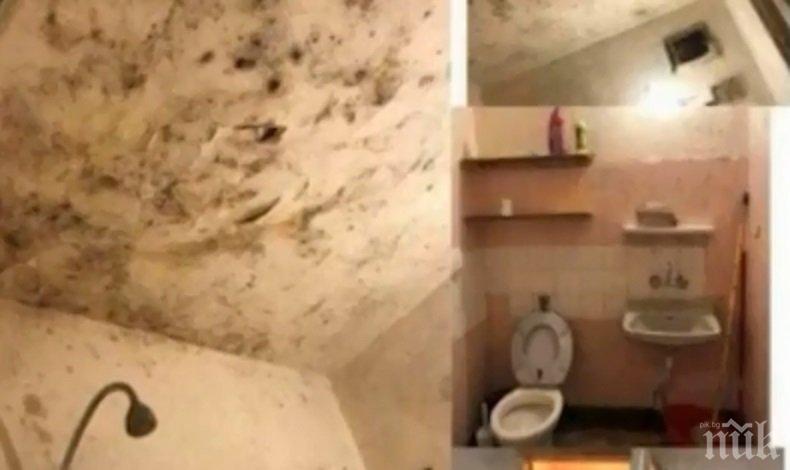 УНСС се чуди къде да настани 1200 студенти заради ремонт на общежития