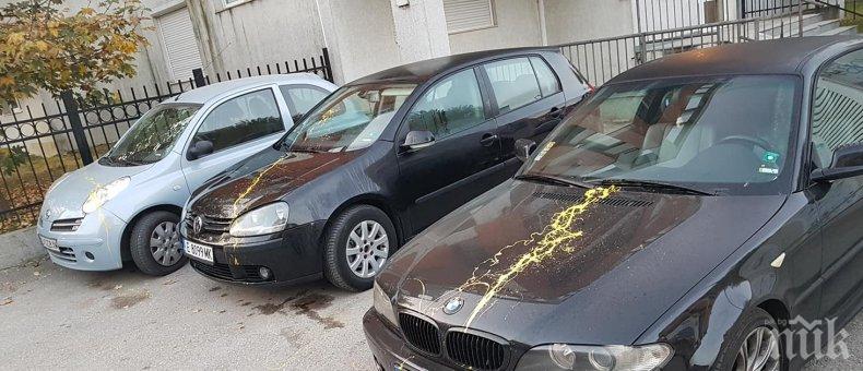 САМО В ПИК! Брутална акция в Студентски град - заляха коли с жълта боя (СНИМКИ)