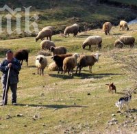 Ветеринарите поискаха среща с министъра на земеделието