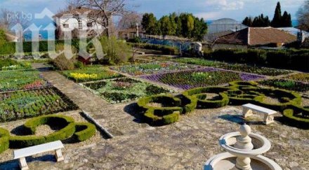 фекалии задръстиха двореца балчик