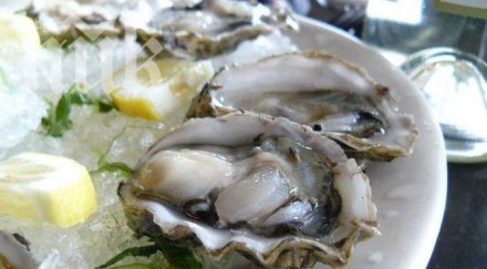 агенцията храните пуска масови проверки морето