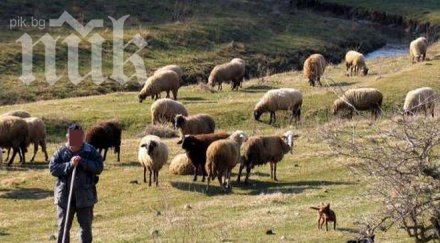 ветеринарите поискаха среща министъра земеделието