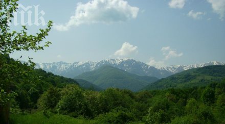 продължава издирването изгубения стара планина овчар