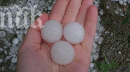 градушка унищожи земеделската реколта видинско