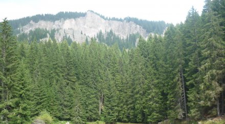 млад мъж погуби любовен скандал