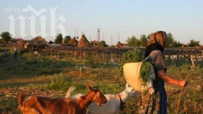 Безработицата обезлюдява селата ни със страшна сила