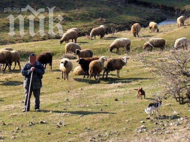 Ветеринарите поискаха среща с министъра на земеделието