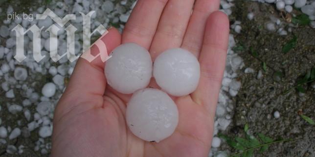 Градушка унищожи земеделската реколта във Видинско