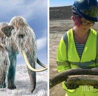 НАХОДКА: Откриха останки на мамут от ледниковата епоха (СНИМКИ)