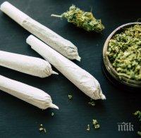 Арестуваха кандидат-президент в Грузия - раздавал марихуана