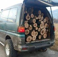 Нова акция срещу незаконния дърводобив, седем души са арестувани