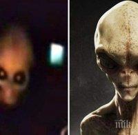 НЕВЕРОЯТНО! Уфолог засне извънземни (ВИДЕО)