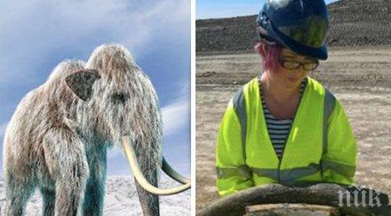 находка откриха останки мамут ледниковата епоха снимки