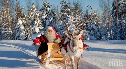 лапландия търси коледни елфи