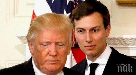 джаред къшнър нарече доналд тръмп черен лебед