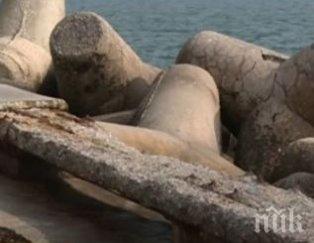 свлачища теглят варна морето