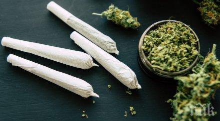 арестуваха кандидат президент грузия раздавал марихуана