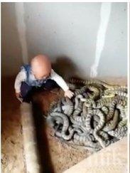 шок дете чудо играе огромни змии снимки
