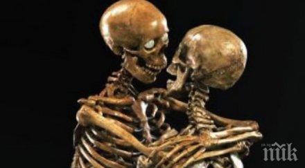 добра новина спасиха уникалния човешки скелет лусия опожарения музей рио