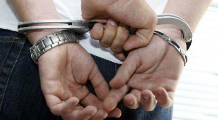 нервак каспичан без билет чупи обижда влака