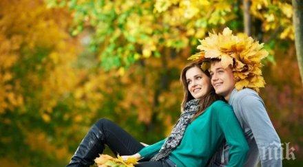 нещата споделяте връзката