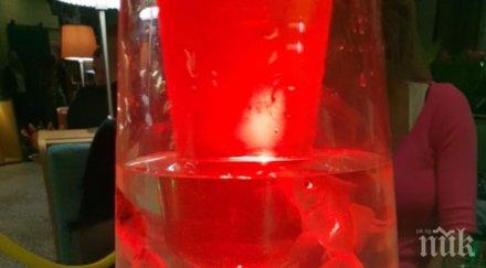 шок нощен бар софия предлага наргиле живи риби